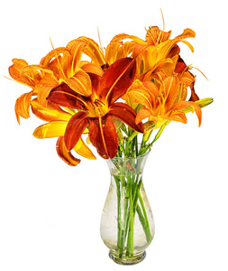 作为您的装饰元素分离在白色背景上有一个小透明玻璃花瓶萱草花花束