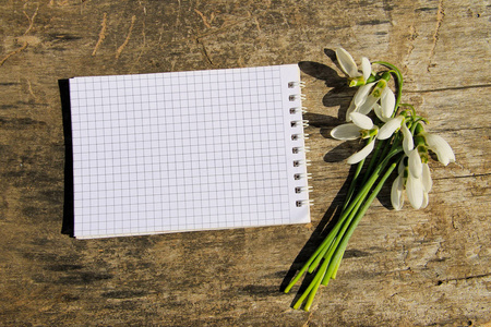 用空白记事本木制背景上的白色雪花莲的花束