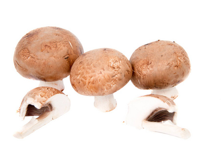 设置上白色孤立的香菇蘑菇