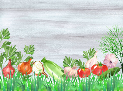 设计组的莳萝 荷兰芹 西红柿 洋葱 大蒜 黄瓜在水彩风格。蔬菜背景上长满草的木纹理