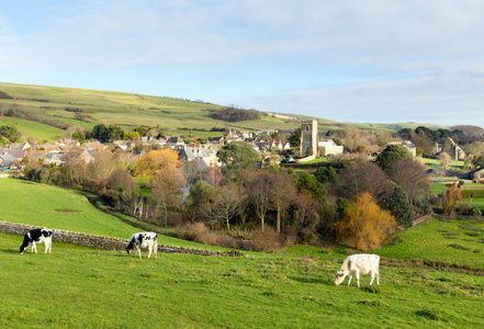 Abbotsbury 村庄多塞特郡英国闻名其 swannery