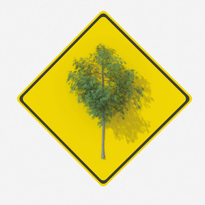 路标指示美国植被图片