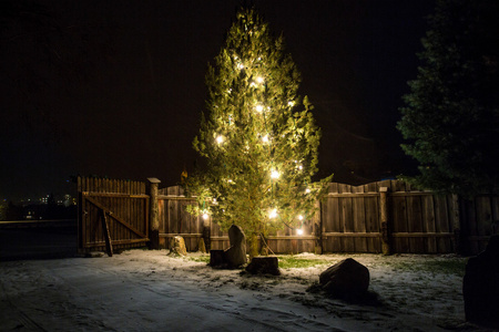 大晚上的灯装饰的圣诞树