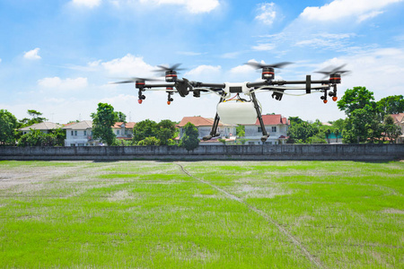 农业无人机飞行在绿色稻田村附近