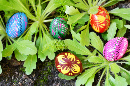 复活节彩蛋藏在绿草和地面