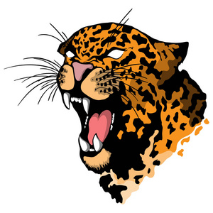 豹子头图片-豹子头素材-豹子头插画-摄图新视界