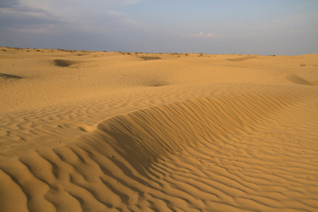 在卡尔梅克的沙质沙漠春日