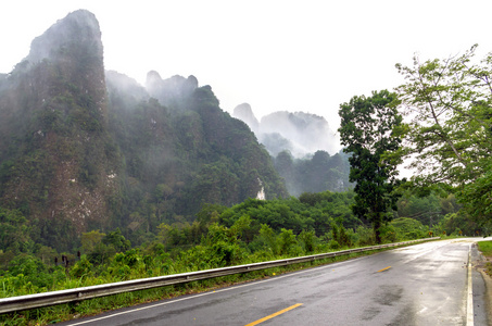 雾树森林山景观上用雾和道路，泰国