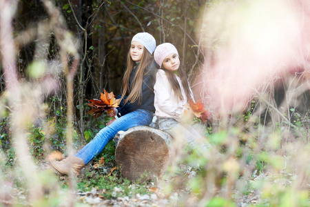两个漂亮的女孩，戴着一顶贝雷帽，坐在日志构成