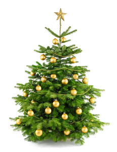 金饰葱郁的圣诞树