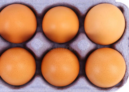 性棕色的蛋。