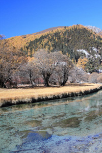 水自然反射冬季树木天空树叶河流植物山雪河岸春天湖泊景观水库支流