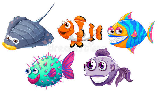五种不同的鱼