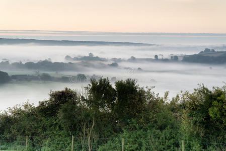 秋日农业景观上的层层浓雾