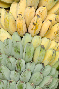 kluai namwa泰语名称，香蕉musa abb cv.