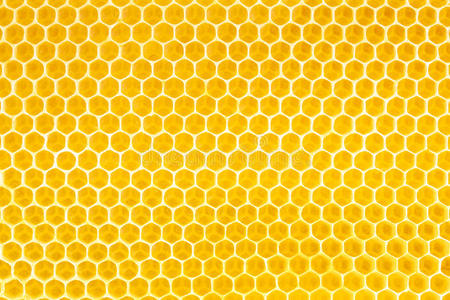 蜂巢ps素材图片-蜂巢ps素材素材-蜂巢ps素材插画-摄图新视界