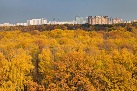 城市景观与秋季城市公园