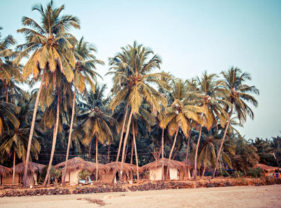 日落时海滩上的棕榈树和芦苇棚