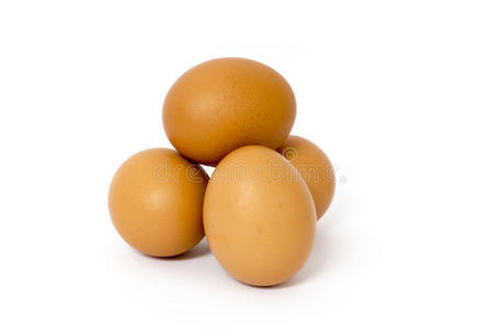 褐色卵