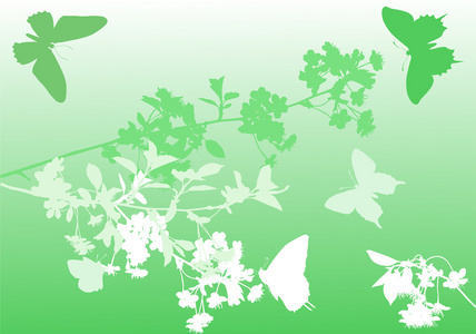 绿色樱花树花和蝴蝶
