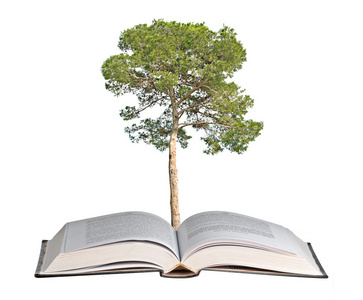 本书从生长的松树树