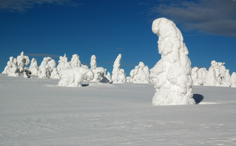 冬季景观与雪在山，斯洛伐克