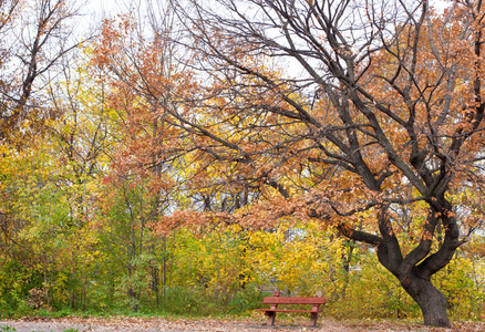 孤独坐在秋天的公园长椅