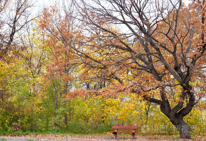 孤独坐在秋天的公园长椅