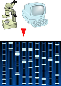 计算 dna 分析