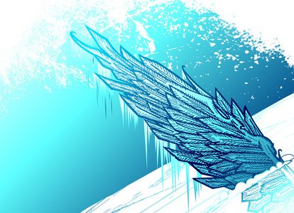 冰冷的翼