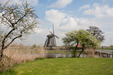 在荷兰风车在春天