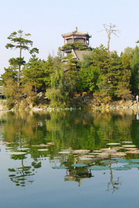 中国公园与亭图片