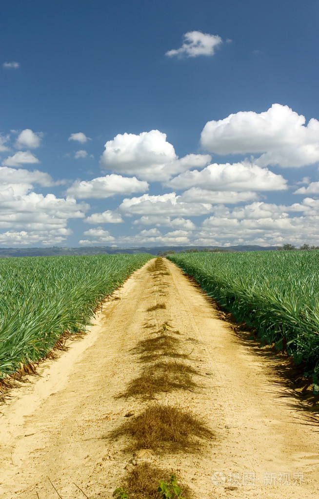旅程1照片-正版商用图片0veuxb-摄图新视界