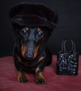 白色和黑色简单婴儿设计.手