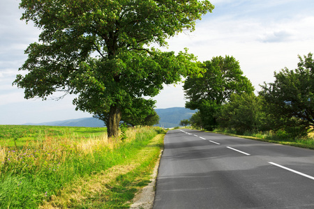 乡村道路