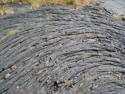 旧火山熔岩字段与种草的特写