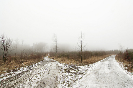 白雪皑皑的冬季风景与泥路图片