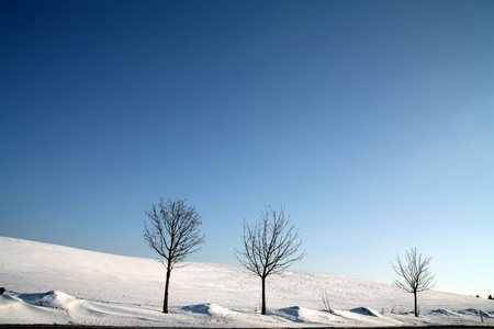 多雪的冬天