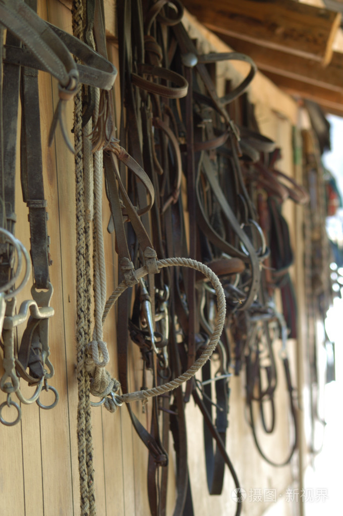 马厩里的缰绳