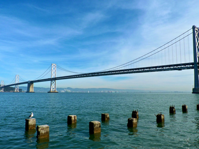 圣弗朗西斯科湾桥照片