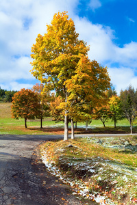 第一次冬季雪和秋季多彩树叶山路附近