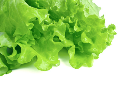 孤立的生菜头图片