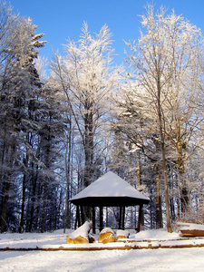 在冬季森林小屋