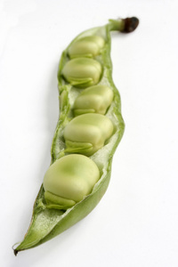 干的,带壳的蚕豆和葱做的蔬菜利马豆,利马豆荚( lima bean的名词复数