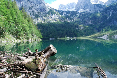 在 hinterer 戈绍湖附近顶石山山景观