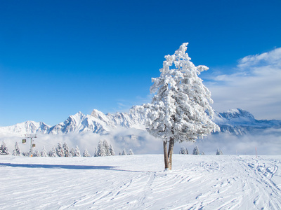 滑雪坡