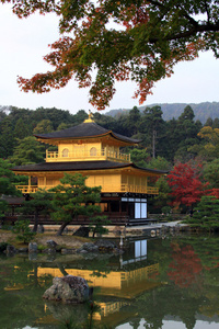 金阁在秋天的季节京都，在著名的金阁日本