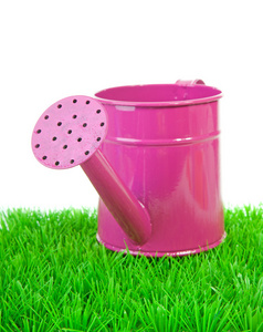 草地上的粉红色喷壶