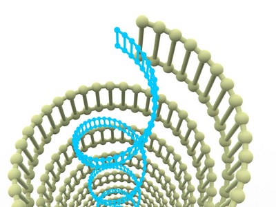 基因在 dna 中