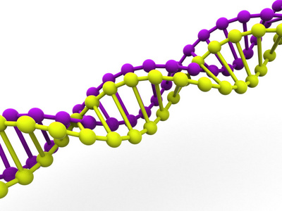 基因在 dna 中